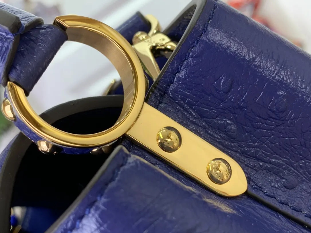 LV Blue Ostrich Leather Capucines - Hình 3